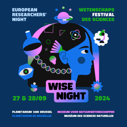Wisenight main graphic (1)